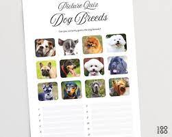 The answers to the questions are directly below and in brackets. Picture Quiz Dog Breeds Pub Quiz Picture Round Animal Etsy In 2021 Pub Quiz Quiz Dog Breeds