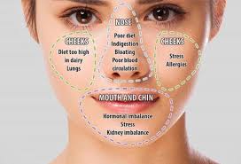 Chinese Face Mapping Skin Analysis Chart Video Instructions