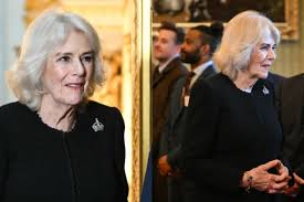 Queen Camilla Opts for Fiona Clare Black and Blue Look and Wears the Tudor  Crown Brooch for Buckingham Palace Reception