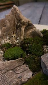Teraryum Yapay Kaya Duzenlemeleri Ve Yosun Harcimiz Ile Istediginiz Tasarim Elinizin Altinda Tabalkon Aqua Akvaryum Dizayn Guvenc Terrarium Duzenleme Teraryum