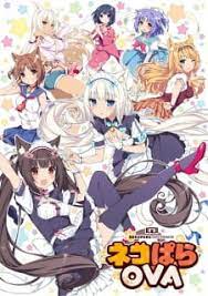 Maybe you would like to learn more about one of these? Nekopara Ova Myanimelist Net