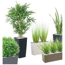 We did not find results for: Plantes Vertes D Interieur Clen Decoration Hotelpros Fr