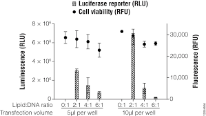 We did not find results for: Transfection Guide Overview Of Transfection Methods Promega