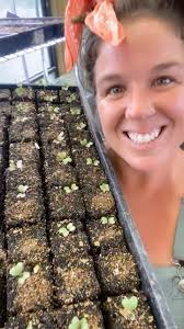 Here in zone 8 in South Carolina, we are busy seeding all of our winter  crops! We use soil blockers to ensure our seedlings are getting the  nutrition they need to start life out strong! Here’s our ...