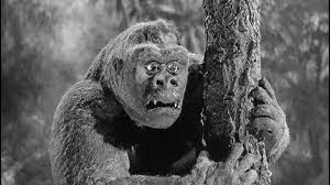 Hi and thanks for uploading this! Mighty Joe Young 1949 Movie Clip Aren T You Afraid Turner Classic Movies