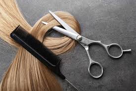 Great clips hair salons provide haircuts to men, women and kids. Letter An Open Letter To Doug Ford On The Essentialness Of Barbershops And Hair Salons Guelph News