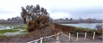 Real Estate Opportunities