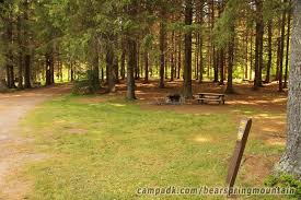 Maybe you would like to learn more about one of these? Bear Spring Mountain Campground Campsite Photos Site 25
