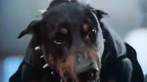Don T Bite The Hand That Feeds You Gif Https Encrypted Tbn0 Gstatic Com Images Q Tbn 3aand9gctbv2cbxzn5fjqlkoffitscfcxhg66xw7nita Usqp Cau