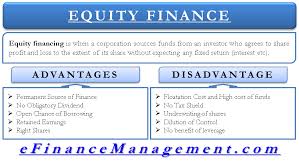 Image Result For Equity Finance Financial Life Hacks Finance Financial Management