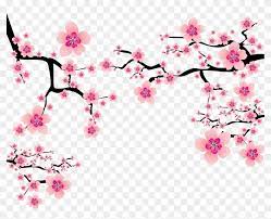 Cherry blossom hd 31, download free cherry blossom transparent png images for your works. Sakura Blossom Clipart Plum Flower Transparent Background Cherry Blossom Png Png Download 3261x2463 357572 Pngfind