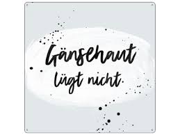 20x20cm Metallschild Turschild Gansehaut Lugt Nicht Spruche Liebe Sch
