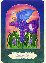 We offer individual flower essences, flower essence blends, flower essence. Iris Power Of Flower Card Online Reading