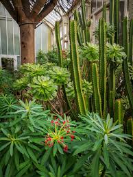 Photo Gallery Botanischer Garten Berlin En 2020 Jardins Parcs Destinations
