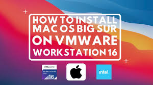 Last minute halloween costume ideas from movies/tv How To Install Macos Big Sur In Vmware Workstation 16 Iphone Wired