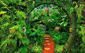 40 Beautiful Nature Wallpapers Style Arena Backyard Design Plants Whimsical Garden