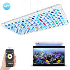 The 25 Best Aquarium Fish Tank Lights Of 2020 Pet Life Today