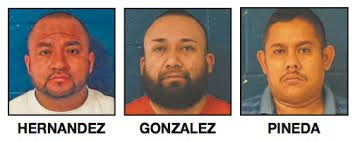 The Nashville Graphic