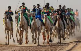 Camel race in saudi arabia. Cool Festival In Saudi Arabia Insanelymadadventures