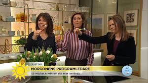 Se en del av den kommande intervjun i spelaren ovan. Soraya Lavasani Tv4 Se