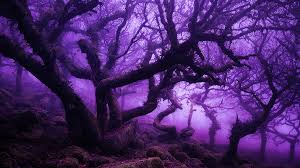 Or cool purple hairstyles for. Black And Purple On Tumblr