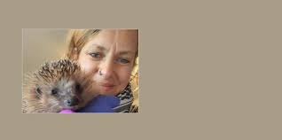 UPDATE Igelschutz: Mähen nur am Tag und nie unter Hecken!