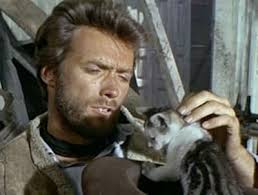 Kerels met katten » Door: Xaviera » @cattishNL