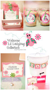 Eye Candy Creative Studio Collection Lil Ladybug Baby Shower