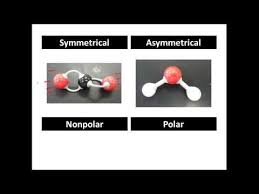 Polar And Non Polar Covalent Molecules Polar Vs Nonpolar Youtube Playlist Science Chemistry Chemistry Notes Study Notes