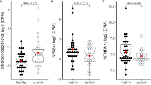 Exploring the Connection Between Brain Inflammation and Increased Suicidal Tendencies