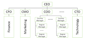Career Paths Of The Analytics Officers