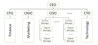 career paths of the analytics officers