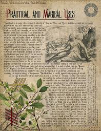 Blackthorn The Druids Calendar Gallic Horoscope Printable Book Of Shadows Tree Of Life The Celtic Ogham Green Witch Grimoire Bos In 2020 Book Of Shadows Book Of Shadow Magical Herbs