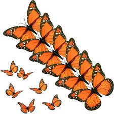 Hand made 4ft wide dragonfly wall hanging. Amazon Com Aqueenly Monarch Butterfly Decorations 4 72 Orange Premium Artificial Monarch Butterfly To Decorate For Craft Home Wall Wedding Party 12 Pcs Home Kitchen