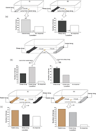 Our exciting canonsburg pa indoor trampoline park features a variety of attractions & programs and offers birthday party & event hosting services. Larval Experience Of Stable Fly Stomoxys Calcitrans Linneaus 1758 Diptera Muscidae Does Not Influence Oviposition Preference In Gravid Females Baleba 2019 Ecological Entomology Wiley Online Library