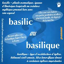 Basilic Ou Basilique Distinguer Les Homophones Gramemo Les Homophones Basilique Expressions Francaises