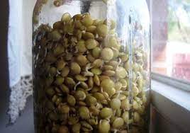 Try Sprouting For Optimum Nourishment Nourishing Days
