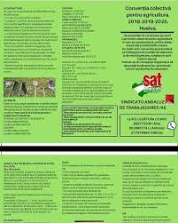 A fost încheiat pe baza contractului colectiv de muncă convenit între consiliul de administraţie al societăţii comerciale . Campana De La Fresa 2019 Y Frutos Rojos Sat Territorial Huelva ÙÙŠØ³Ø¨ÙˆÙƒ