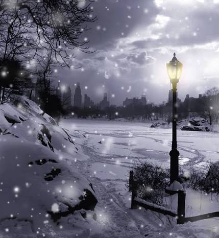 New York Snow GIFs - Find & Share on GIPHY