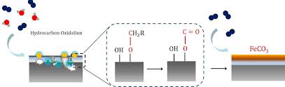 Probing the initial stages of iron surface corrosion: Effect of O2 and H2O 