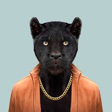 Cesar The Black Panther Panthera Onca Hipster Animals Animals Animal Heads