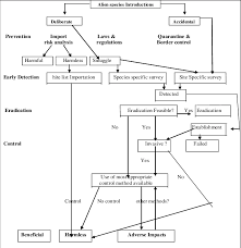 flow chart of options to consider when addressing alien