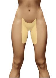 Females may experience stabbing pain on the left side of the groin for many reasons. Groin Pain Structures And Conditions That Can Contribute To Groin Pain