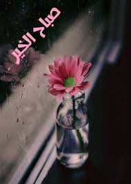 صباح الخير fiji water bottle bottle glass vase