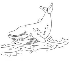 Neste artigo você vai ver desenhos de baleia para colorir e imprimir para baixar gratis. Baleia Para Colorir E Pintar 2021 15 Imagens Gratis