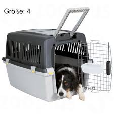 Geschichtlich geht er auf die dank des engagierten eingreifens einiger züchter erlebte der damals noch als „dürrbächler bekannte berner sennenhund jedoch einen neuen aufschwung. Trixie Transportbox Gulliver Gunstig Kaufen Zooplus