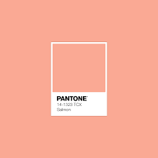 Salmon pink rgb color code: 900 Pantone Potpourri Ideas Pantone Potpourri Pantone Palette