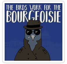 The Birds Work For The Bourgeoisie Painting The Birds Work For The Bourgeoisie Sticker By Benbenbenj In 2020 Small Canvas Paintings Flask Art Birds
