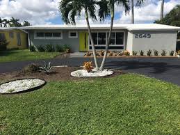 Check spelling or type a new query. What Color Mulch Or Rocks To Use In The New Bed Near Agave Plant