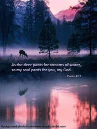 Psalm 42 2 As A Deer Pants For Streams Of Water So My Soul Pants For You My God Inspirational Scripture Psalms Psalm 42